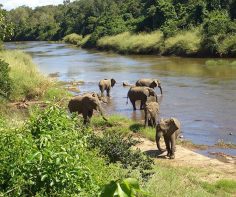 5 places to visit in central Malawi