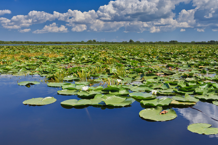 Romania World Heritage: The 8 UNESCO World Heritage Sites In Romania