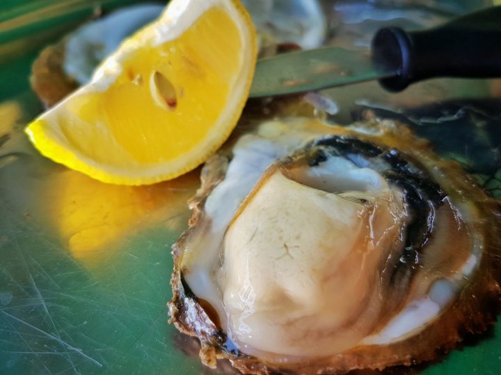 Where To Find Oysters In Croatia: Mali Ston & Lim Bay