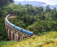 Top 5 experiences to have in Sri Lanka