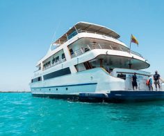 Choosing the right cruise in Galapagos Islands