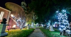 It’s Soon Time To Get Festive And Enjoy Advent In Zadar | Croatia Travel Blog