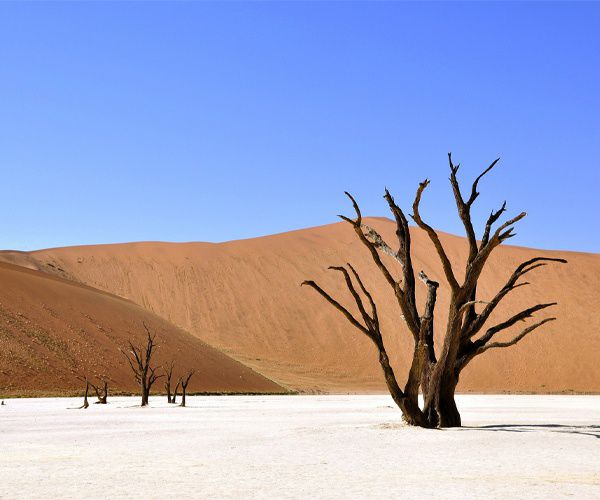 Photograph of the week: Deadvlei, Namib-Naukluft National Park, Namibia