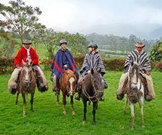 Top 10 outdoor activities in Ecuador