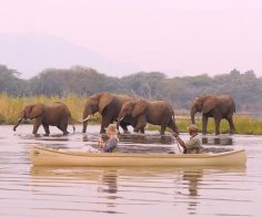 In praise of the mighty Zambezi!