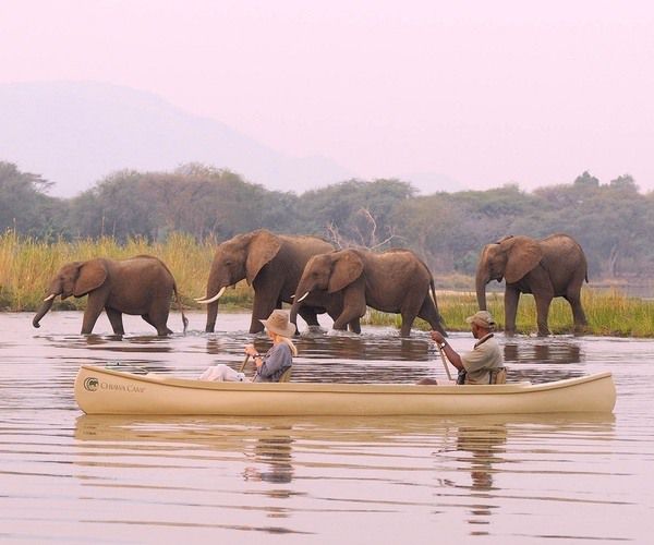 In praise of the mighty Zambezi!