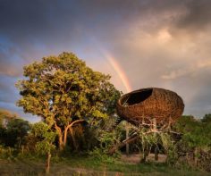 Top 5 designer tented safari lodges