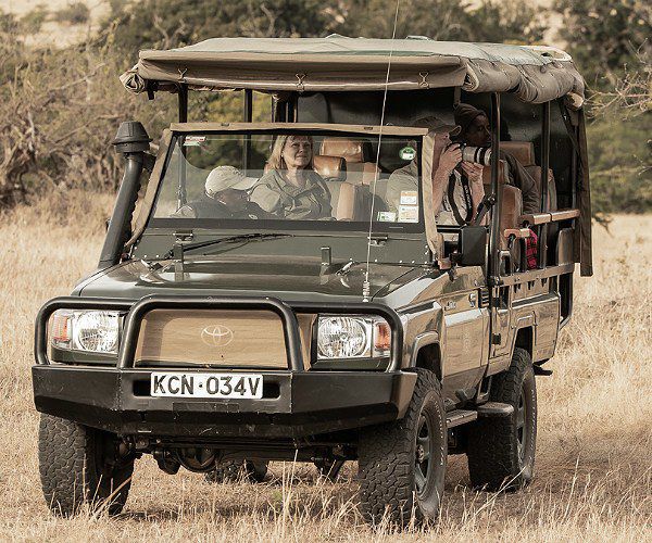 New decade, new travel goals: 12 reasons to go on an African safari in 2020