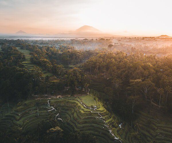 Photograph of the week: Tegallalang, Bali