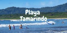 Guanacaste’s Thriving Surf Town 2020