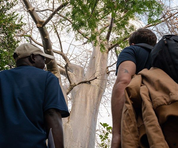 9 places to go forest bathing in Malawi