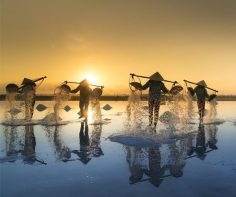 Photograph of the week: Salt harvesting, Hon Khoi Salt Fields, Vietnam