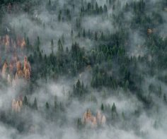 Photograph of the week: Yosemite National Park, Sierra Nevada, California, USA