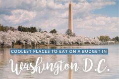 8 Best Places to Eat in DC on a Budget