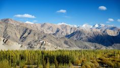 Ladakh Travel Guide for First-Time Visitors