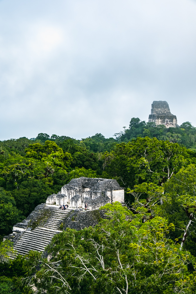 How To Visit (And Camp Overnight) At Tikal In Guatemala • Indie Traveller