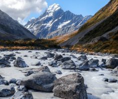 New Zealand: Rejuvenated and ready to return