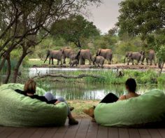 The unexpected luxuries of a safari