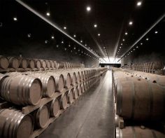 The best wineries to visit when in Spain