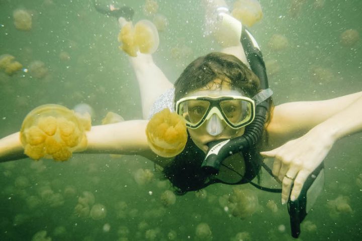 A Guide to Swimming in Palau’s Freshwater Jellyfish Lake