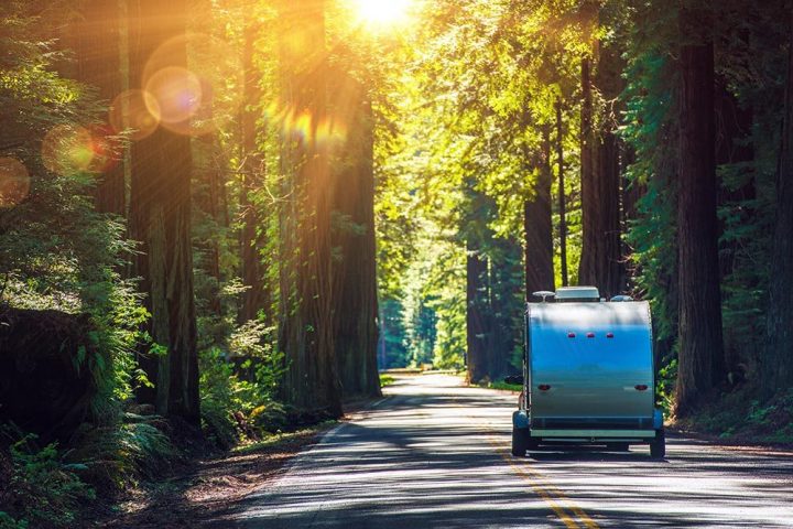 8 Best Small Travel Trailers (Under 2,000 Pounds) in 2020