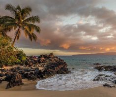 Some favorite organic Maui restaurants during the pandemic