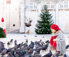 Why should you visit Dubrovnik during Christmas?