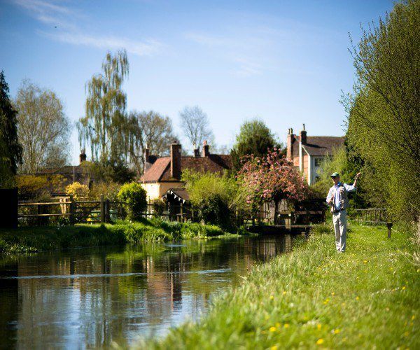 A river runs through it: Highlights of the Test Valley, Hampshire, UK