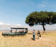 Kenya safari: A love affair with the wild