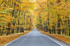 The Perfect 10-Day Michigan Road Trip Itinerary in Fall