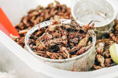 Edible Bugs Bucket List: 25 Insects People Eat Around the World