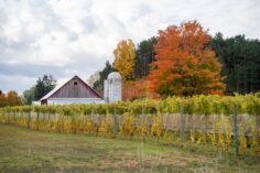 How to Spend One Epic Day on Michigan’s Leelanau Peninsula