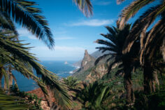 An Explorer’s Travel Guide To Tenerife