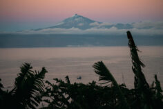 Oops, I Was 90% Wrong About The Canary Islands