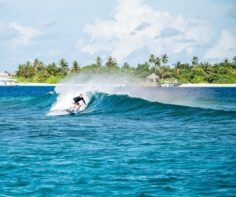 Surfing in the Maldives