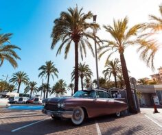 5 things to do in Palma de Mallorca