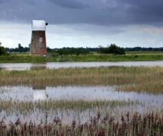 7 things you shouldn’t miss when visiting Norfolk