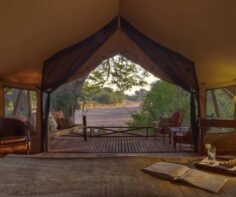 Exploring Ruaha’s best lodges