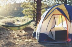 12 Camping Essentials for 2021