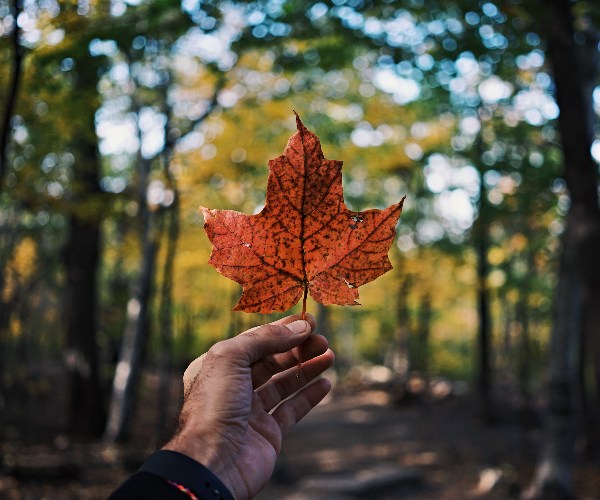 6 destinations in Canada that are doing their bit for responsible tourism ahead of COP26