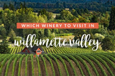 Best Wineries in Willamette Valley