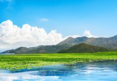 How To Explore Lake Skadar Montenegro