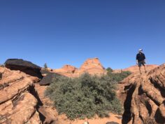 Where to Hike on a Road Trip to Zion National Park