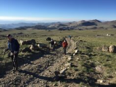 Sierra Nevada Adventure: White Mountain Peak and Bristlecone Forest