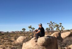 The Best Hiking in Joshua Tree National Park