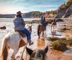 One-of-a-kind experiences you can have in Nova Scotia