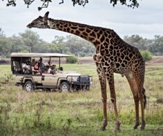 Sustainable safaris in South Luangwa