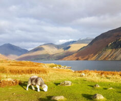 New year, new you? Make your New Year resolutions happen by visiting the Lake District