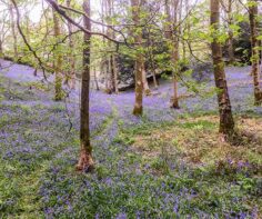 Spring in the Lake District