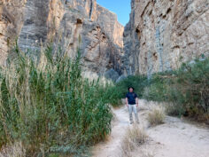 Santa Elena Canyon Trail: Big Bend’s Signature Hike